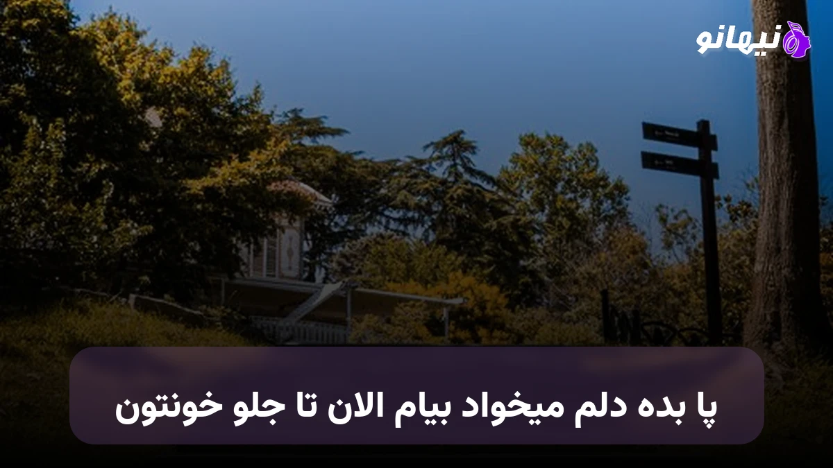 دانلود آهنگ پا بده دلم میخواد بیام الان تا جلو خونتون صدای زن